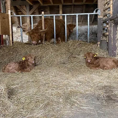 Berghof Schmitte Winterberg