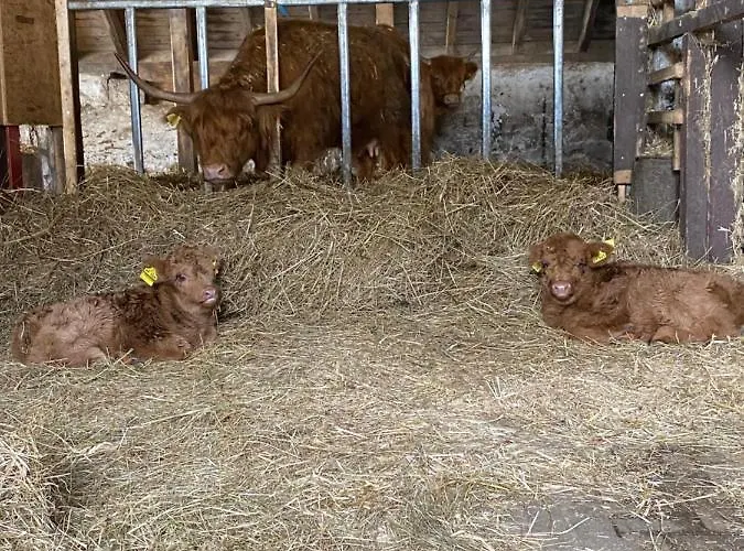 Berghof Schmitte ווינטרברג